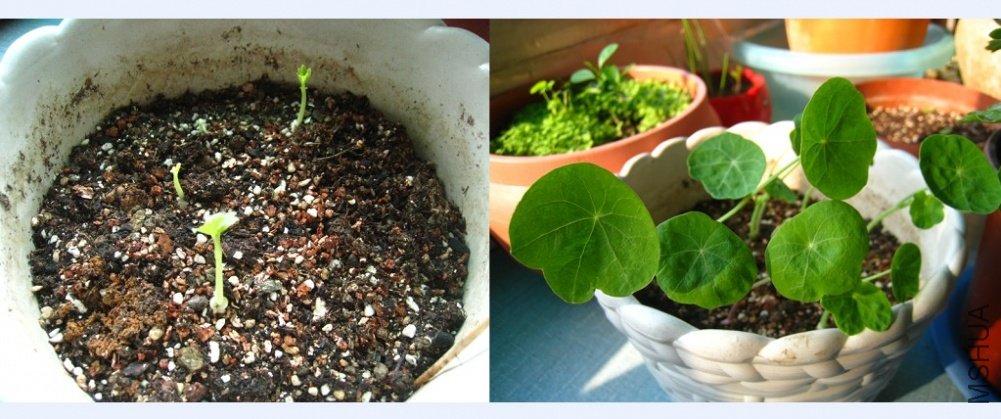 ����ǰ��ĶԱ�