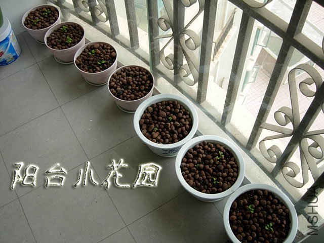 DSCN7606.JPG