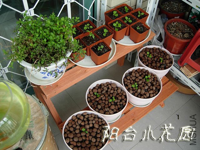 DSCN7609.JPG