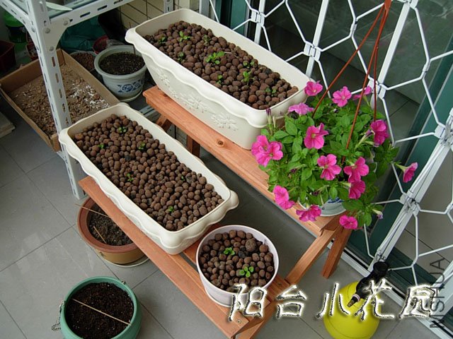 DSCN7608.JPG