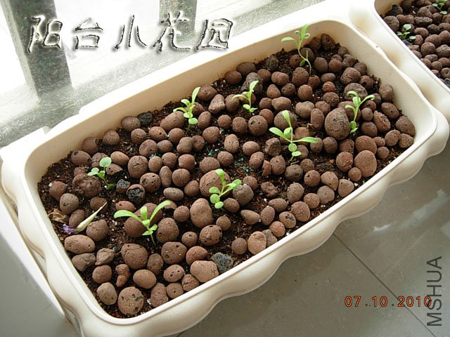DSCN7692.JPG