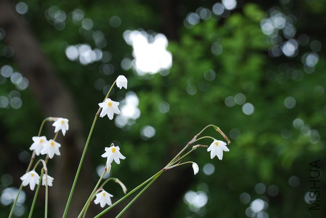 nEO_IMG_DSC_0149.jpg