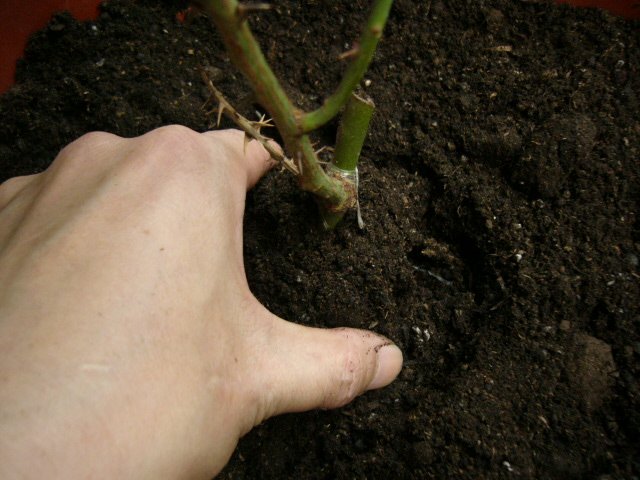 P1160370.JPG