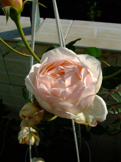 DSCF0058.JPG