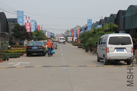 z0036.JPG