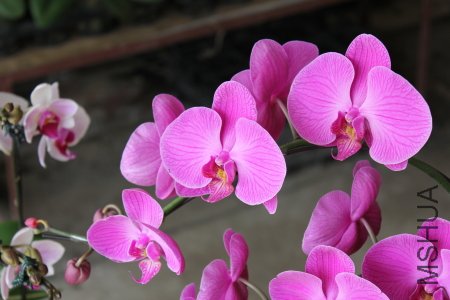 z0006.JPG