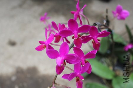 z0058.JPG