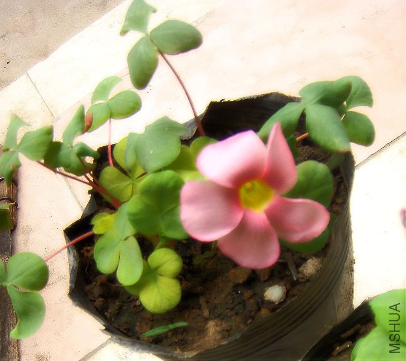 DSC03754.JPG