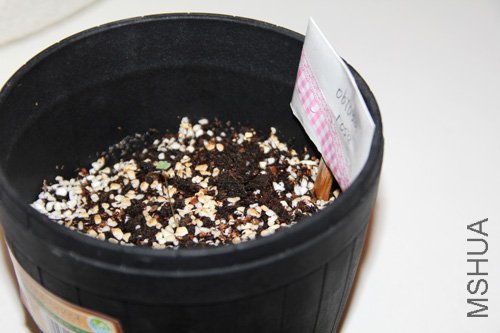 2010-10-10 (117).jpg