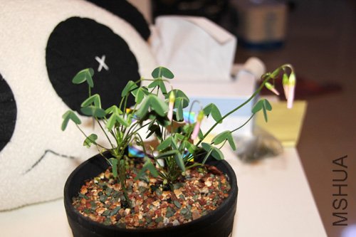 2010-10-10 (118).jpg