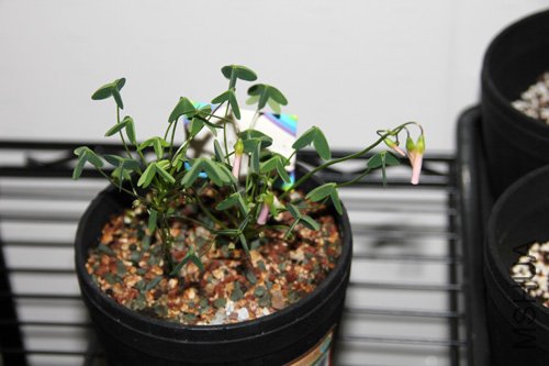 2010-10-10 (129).jpg