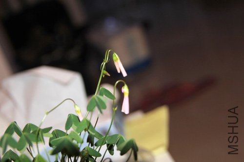 2010-10-10 (126).jpg