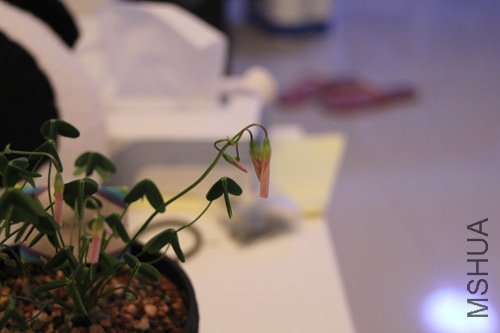 2010-10-10 (120).jpg