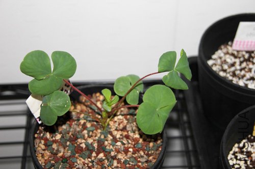 2010-10-10 (131).jpg