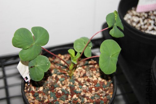 2010-10-10 (132).jpg