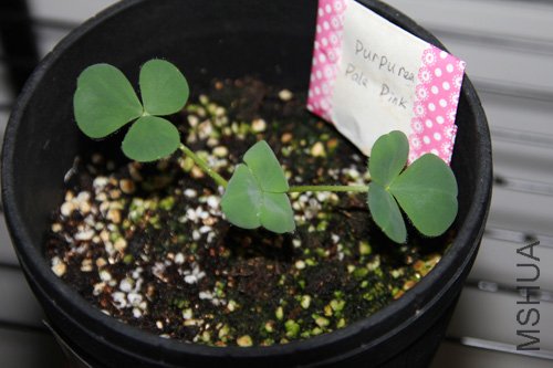 2010-10-10 (134).jpg