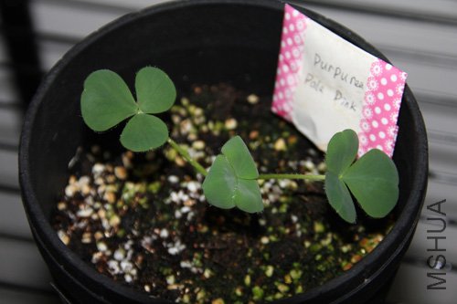 2010-10-10 (133).jpg