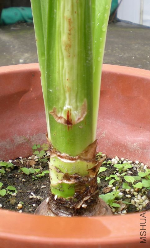 ��Ƭ2010�ɻ� 608.jpg