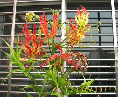 100_4328.jpg