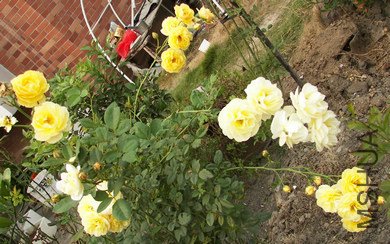 100_4402.jpg