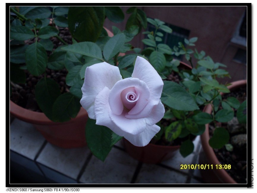 SDC15624_nEO_IMG.jpg