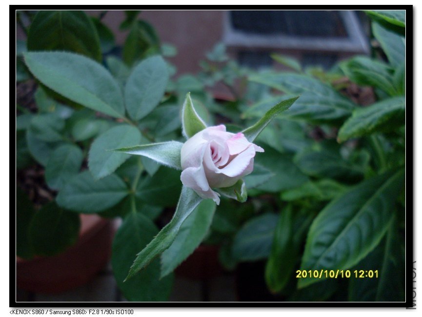 SDC15609_nEO_IMG.jpg
