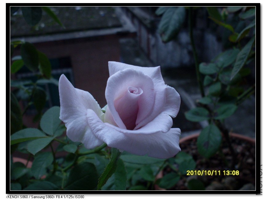 SDC15625_nEO_IMG.jpg