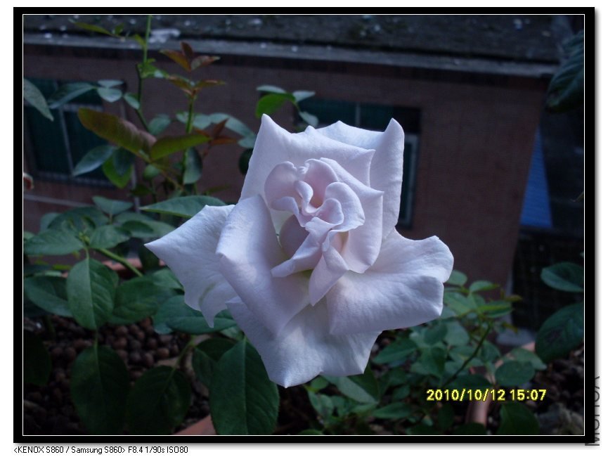 SDC15652_nEO_IMG.jpg
