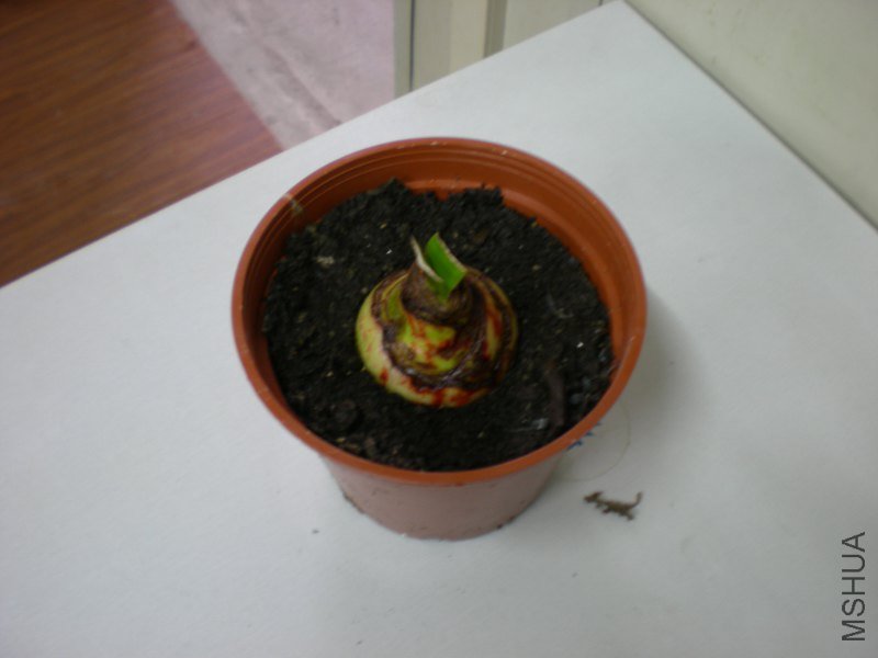 ��Ƭ2010�ɻ� 614_800x600.jpg