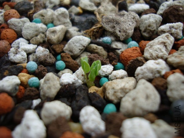 DSC03587.JPG