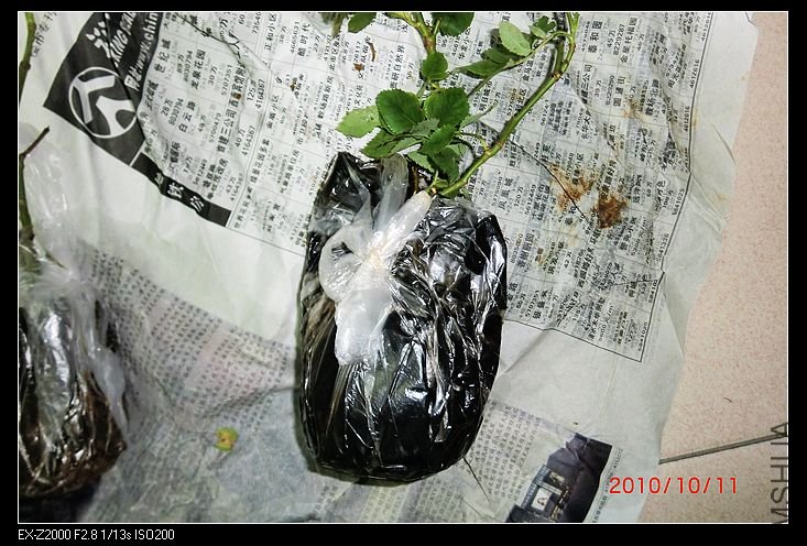 nEO_IMG_CIMG0943.jpg