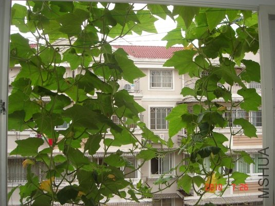 DSC07562.JPG