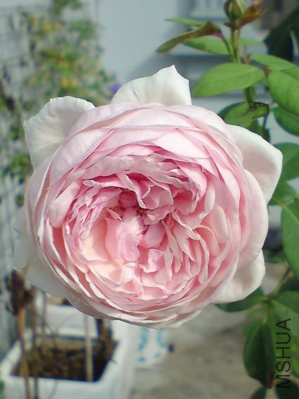 DSC00076.JPG