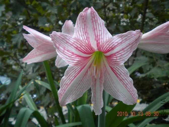 2(P(OH9~9@W`0R5`S73O%NR.jpg