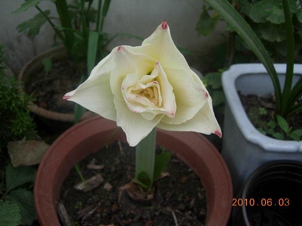 ��ɫ�Ľ��������Ĳ���