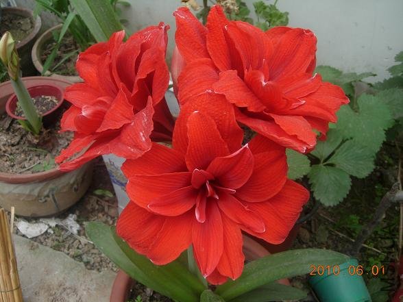 ���Ʒ����������С��ѿ��