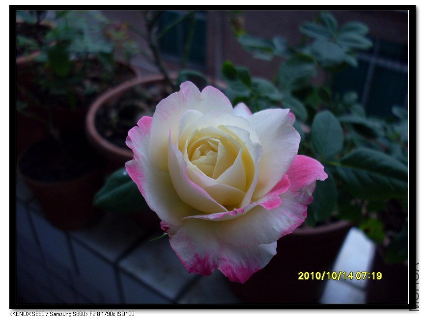 SDC15697_nEO_IMG.jpg