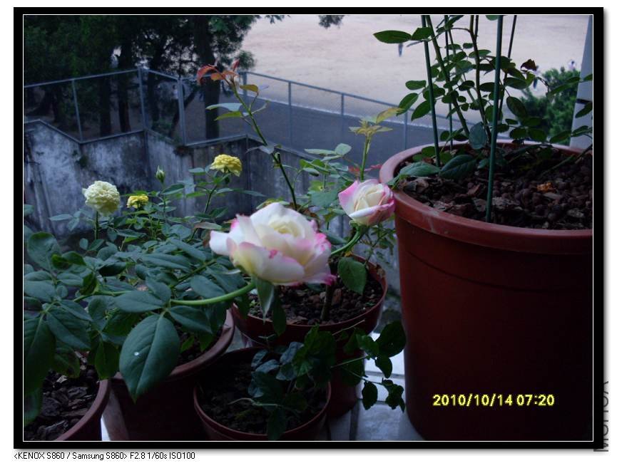 SDC15703_nEO_IMG.jpg