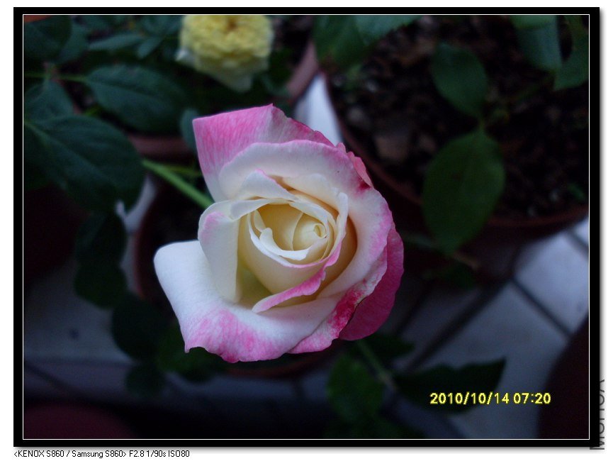 SDC15701_nEO_IMG.jpg