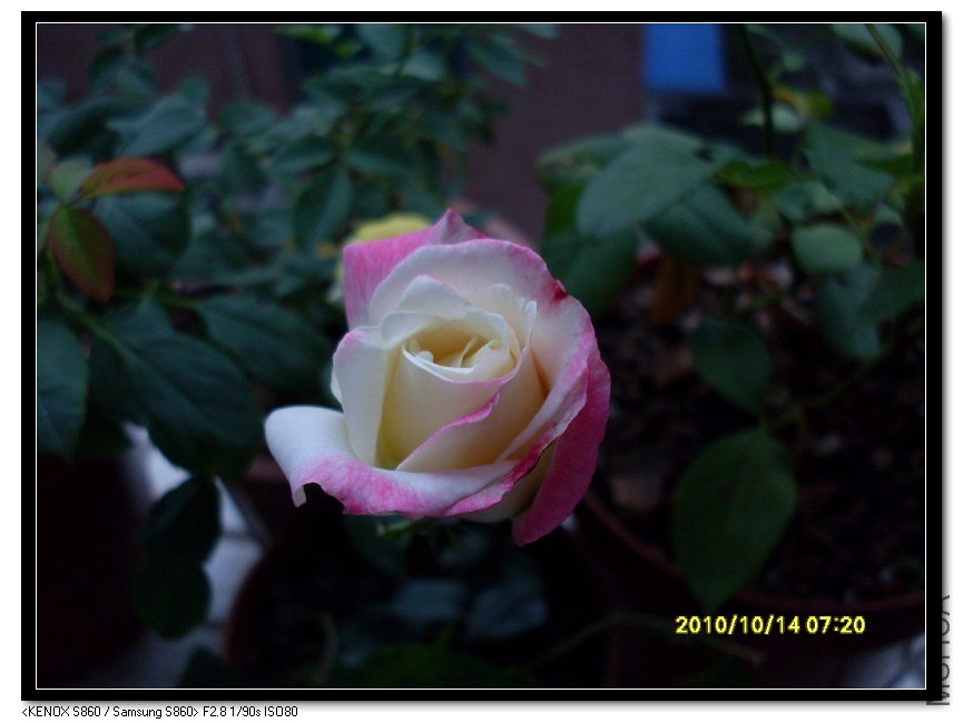SDC15700_nEO_IMG.jpg