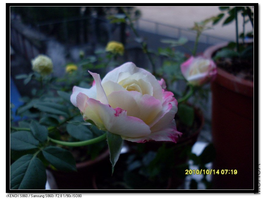 SDC15699_nEO_IMG.jpg