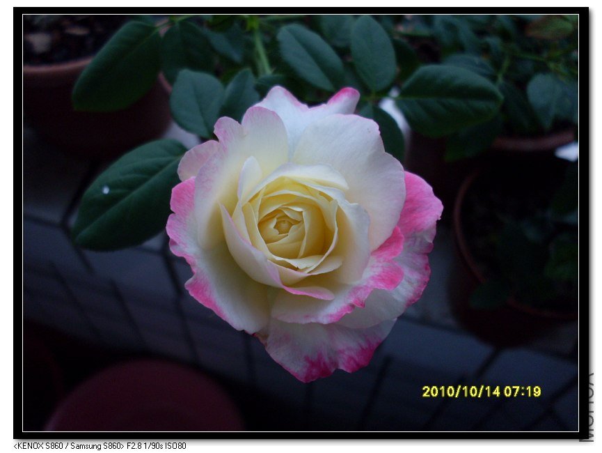 SDC15698_nEO_IMG.jpg