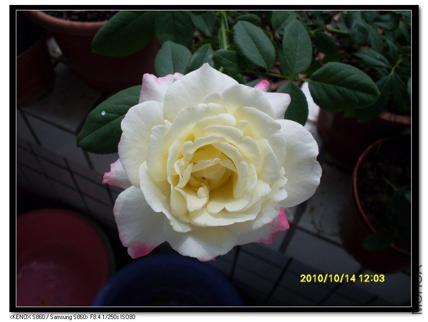 SDC15714_nEO_IMG.jpg