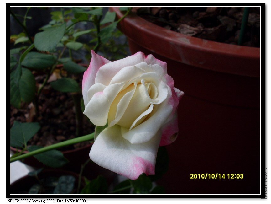 SDC15717_nEO_IMG.jpg