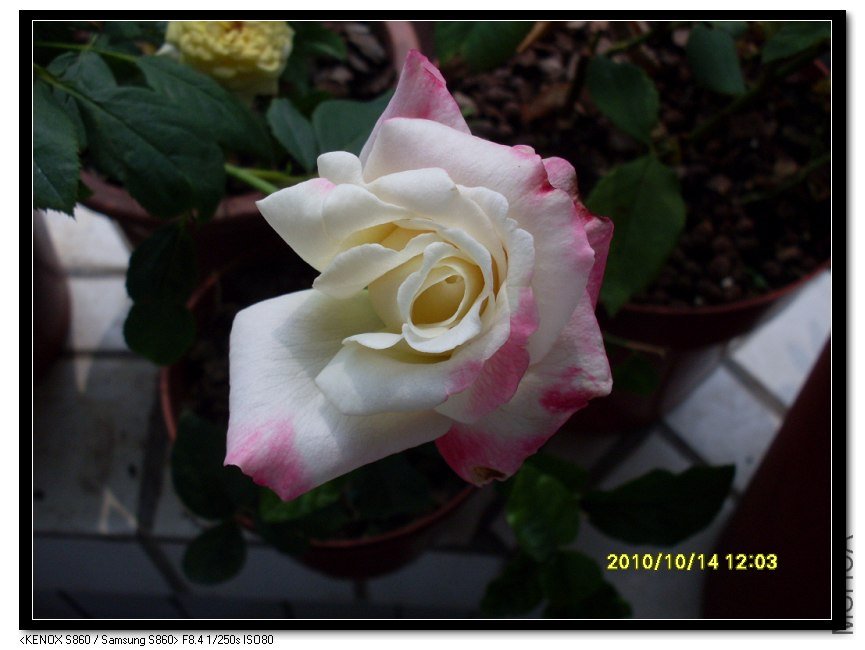 SDC15716_nEO_IMG.jpg