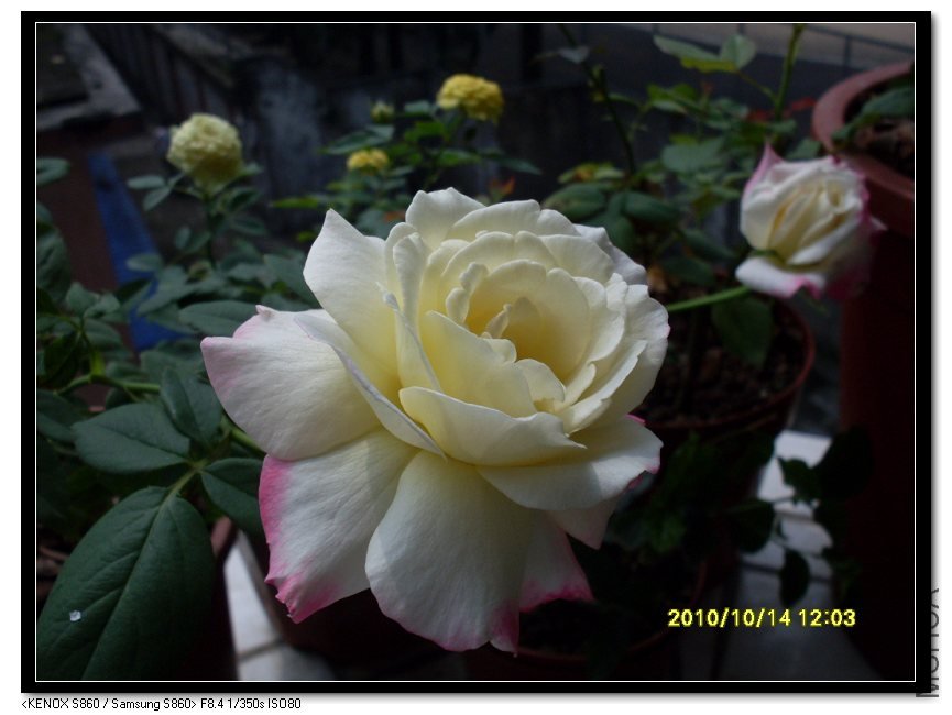 SDC15715_nEO_IMG.jpg