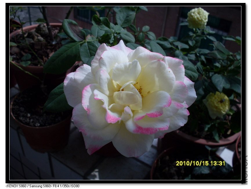 SDC15746_nEO_IMG.jpg