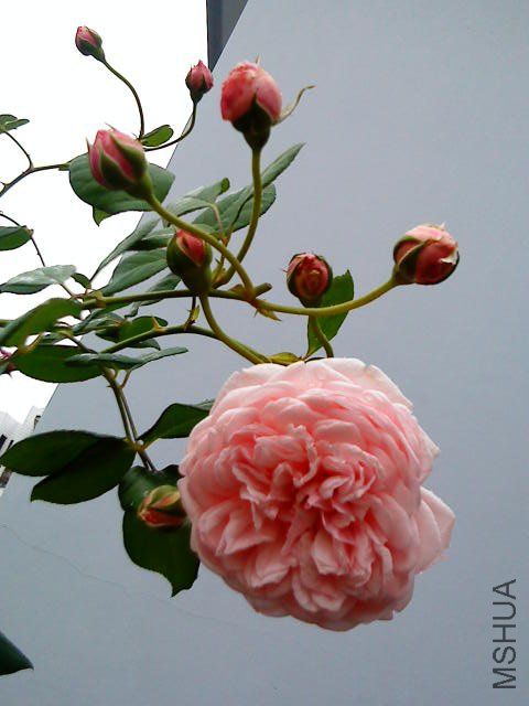 DSC02715.JPG