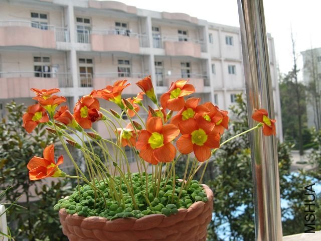 IMG_0173.JPG