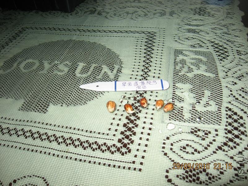 20100929 002.jpg